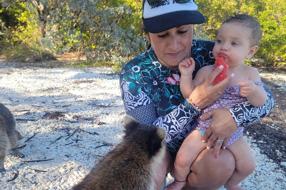Raccoon Island by Kayak - Miami Wildlife Tour
