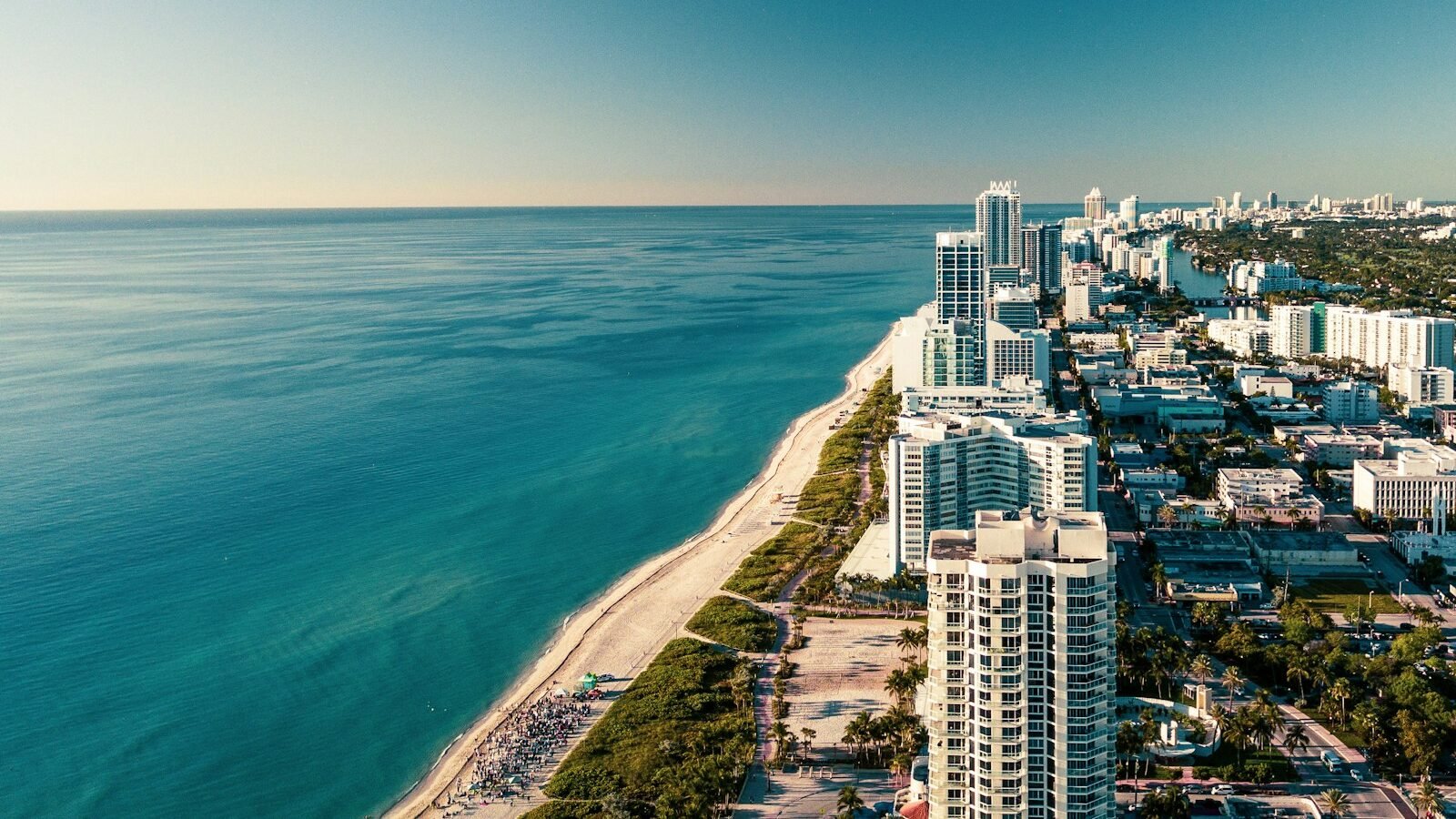 aerial photography of buildings