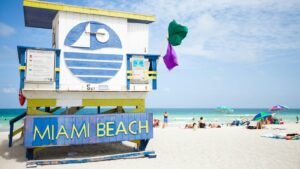 people at Miami Beach during day
