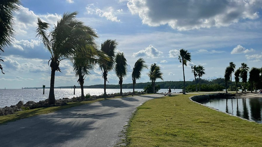 Matheson Hammock Park - Best Parks in Miami for Kids to Explore
