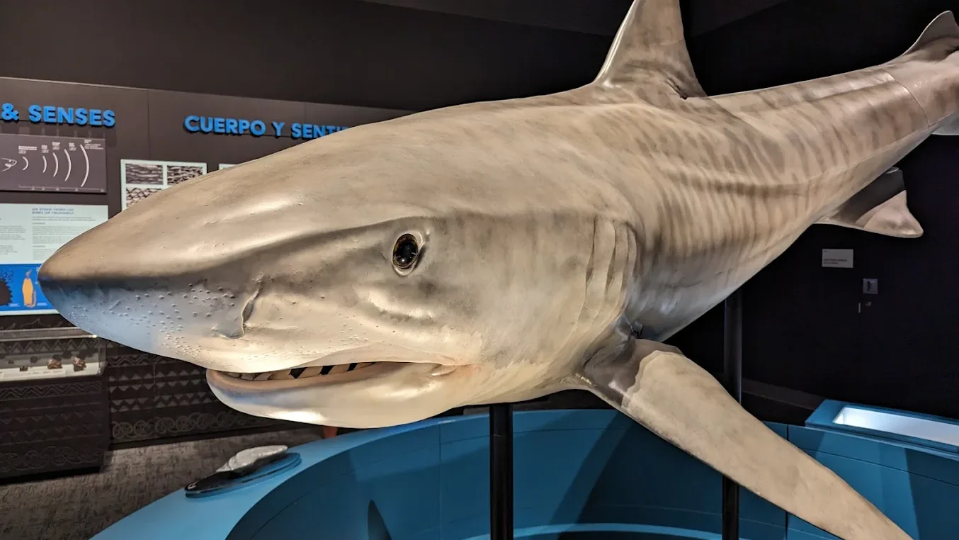 Frost Science Aquarium