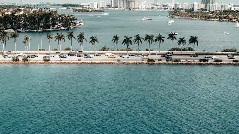 people on beach during daytime