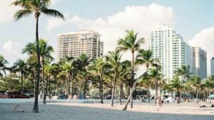 palm trees near buildings